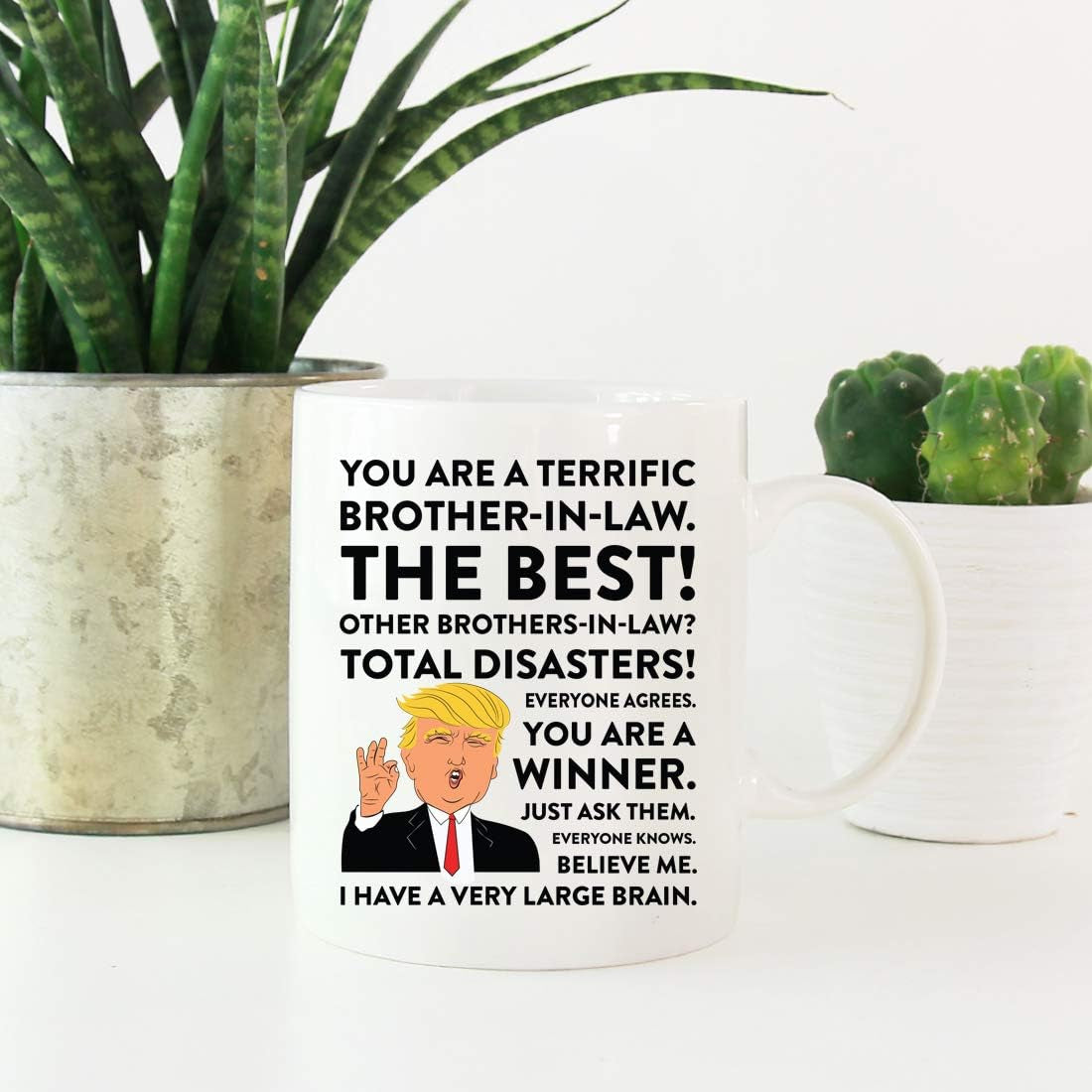 Funny President Donald Trump 11Oz. Coffee Mug Gift, Terrific Brother-In-Law, 1-Pack, Christmas Birthday Drinking Cup Republican Political Satire for Family in Laws Trump Brother Mug