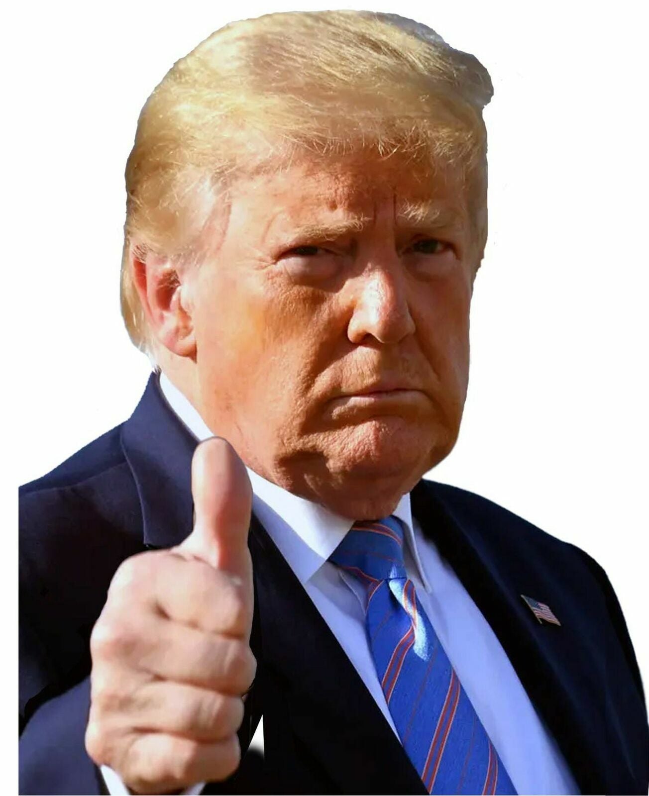 RIDE with PASSENGER TRUMP 2020 KEEP AMERICA GREAT DECAL STICKER USA CAR WINDOW